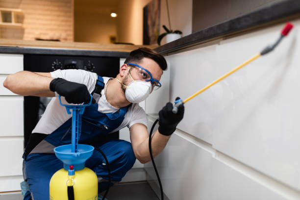 Best Best Pest Control Companies  in Lincolnshire, IL