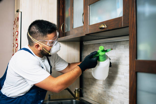 Best Mosquito Control Services  in Lincolnshire, IL
