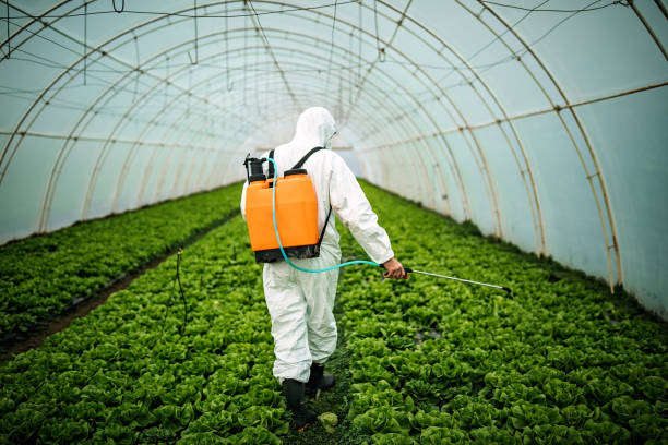 Pest Prevention Services in Lincolnshire, IL