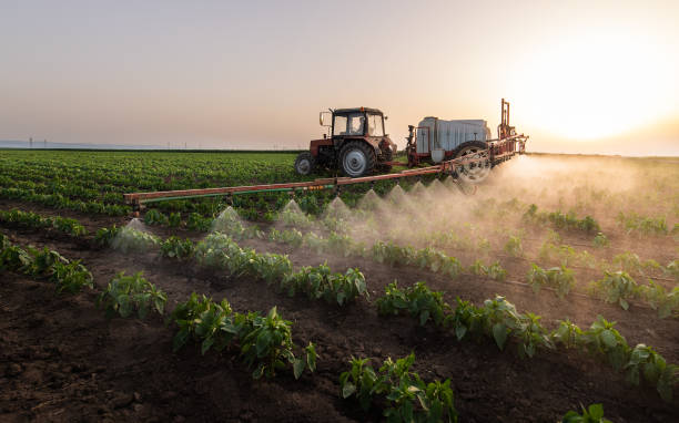Best Pest Control for Homes  in Lincolnshire, IL