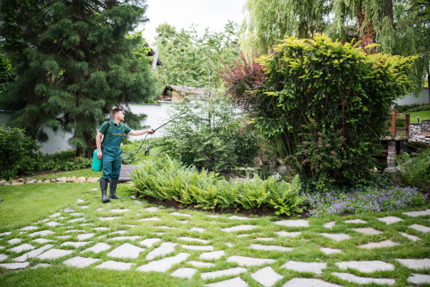 Best Local Pest Control Services  in Lincolnshire, IL