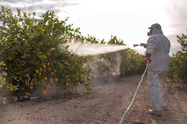 Best Pest Control Treatment  in Lincolnshire, IL