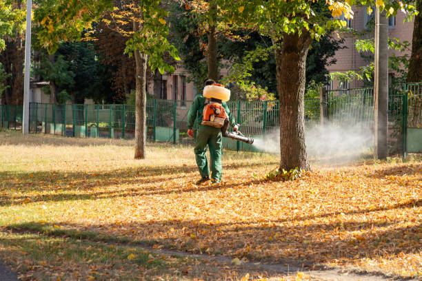 Bird Control in Lincolnshire, IL