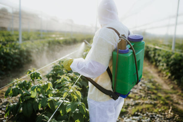 Flea Control Services in Lincolnshire, IL
